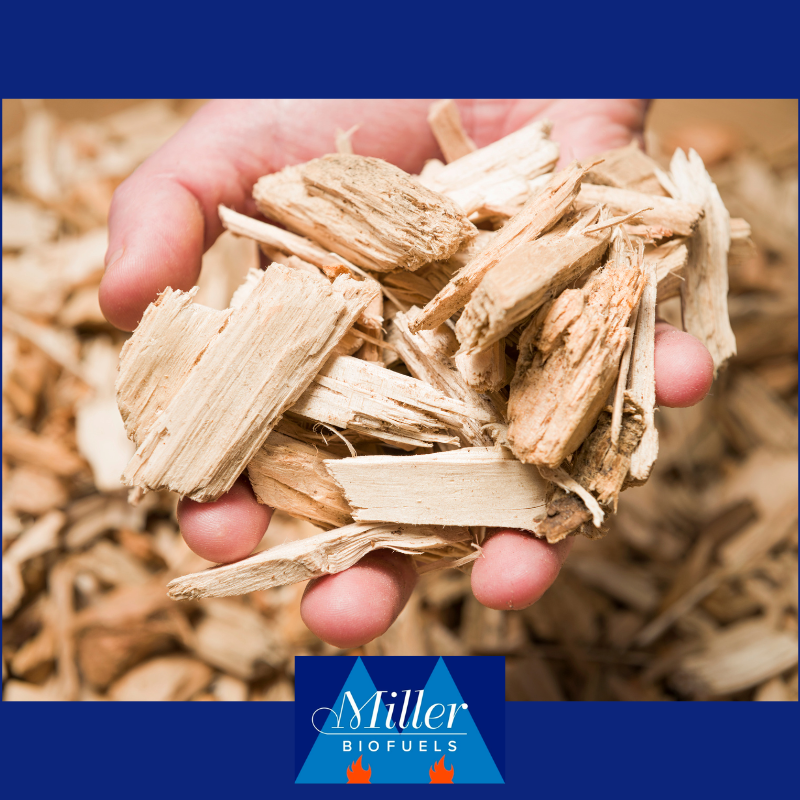 Wood Chip as a Biomass Fuel: A Renewable Energy Source for a Lower Carbon Future