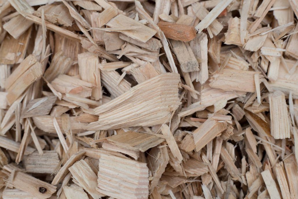 Why Moisture Content Matters in Biomass Woodchip