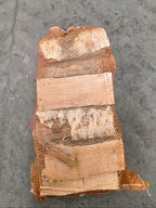Kiln Dried Hardwood Logs | Handy Carry Bag